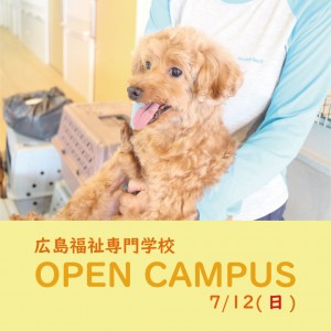 アニマル
